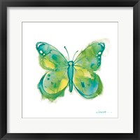 Framed Birdsong Garden Butterfly II on White