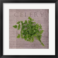Framed 'Classic Herbs Celery' border=