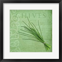 Framed 'Classic Herbs Chives' border=