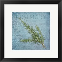 Framed 'Classic Herbs Rosemary' border=