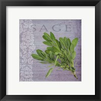 Framed 'Classic Herbs Sage' border=