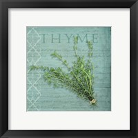 Framed 'Classic Herbs Thyme' border=
