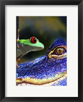 Framed Amphibean & The Reptile
