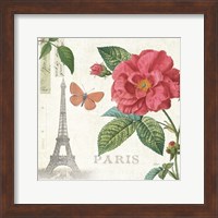 Framed Paris Arbor III