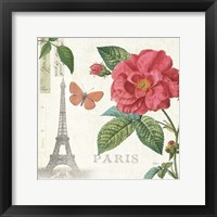 Framed Paris Arbor III