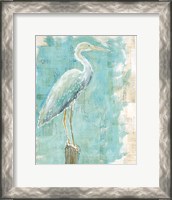 Framed Coastal Egret I