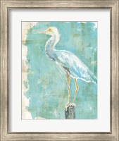 Framed Coastal Egret II