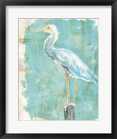 Framed Coastal Egret II