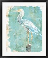 Framed Coastal Egret II