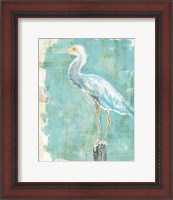 Framed Coastal Egret II