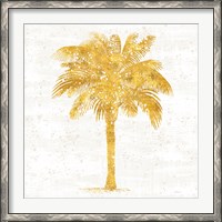 Framed Palm Coast II On White