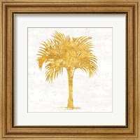 Framed Palm Coast IV on White
