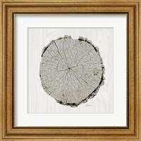 Framed Woodland Years II with Silver v2