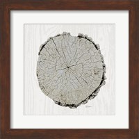 Framed Woodland Years II with Silver v2