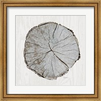 Framed Woodland Years I with Silver