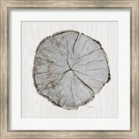 Framed Woodland Years I with Silver