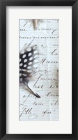 Framed Plume Feathers V Crop I