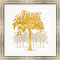 Framed Palm Coast IV