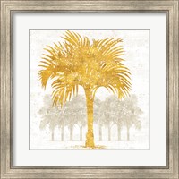 Framed Palm Coast IV