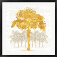 Framed Palm Coast V