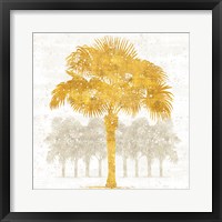 Palm Coast V Framed Print
