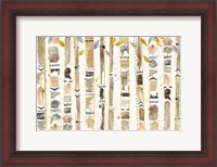 Framed Navajo Forest I