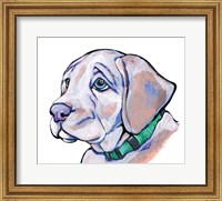 Framed Puppy