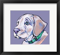 Framed Puppy II