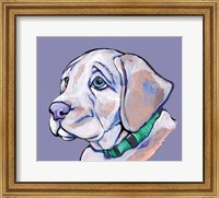 Framed Puppy II