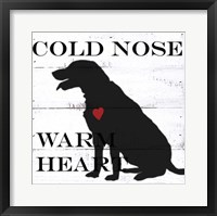 Framed Cold Nose