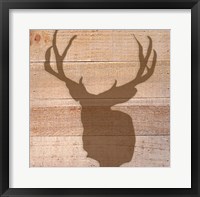 Deer I Framed Print