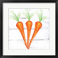 Framed Farm Fresh Carrots