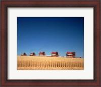 Framed 1970s Five Massey Ferguson Combines Harvesting Wheat Nebraska Usa