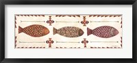 Framed Wild Fish III