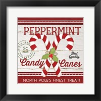 Candy Canes Framed Print