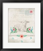 French Spring Lamb Framed Print