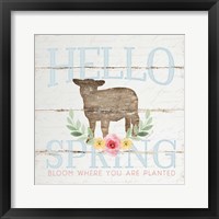 Framed Hello Spring