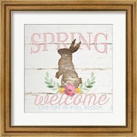 Framed Spring Welcome