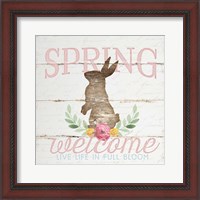 Framed Spring Welcome