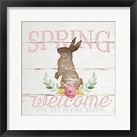 Spring Welcome Framed Print