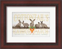 Framed Cottontail's Carrot Patch