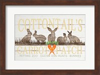 Framed Cottontail's Carrot Patch
