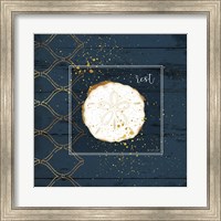 Framed Rest Sanddollar