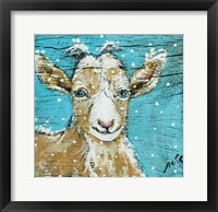Framed Goat