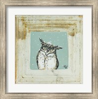 Framed Owl