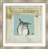 Framed Owl