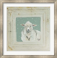 Framed White Sheep