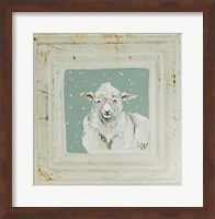 Framed White Sheep