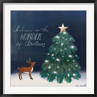 Framed Wonder of Christmas