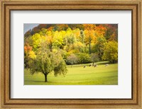 Framed Peaceful Pasture II